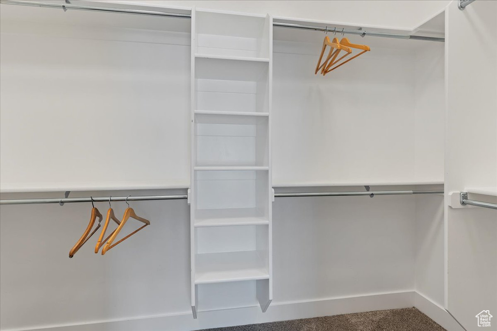 Spacious closet with carpet