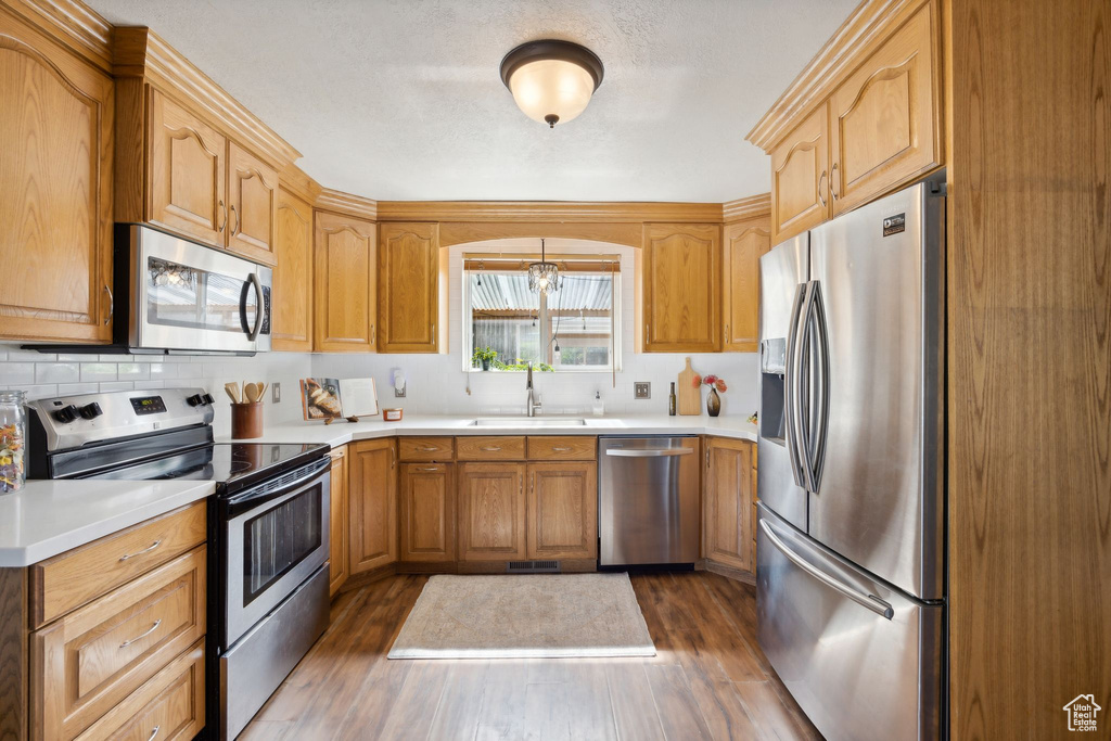 Kitchen featuring stainless steel appliances, sink, tasteful backsplash, and dark hardwood / wood-style floors