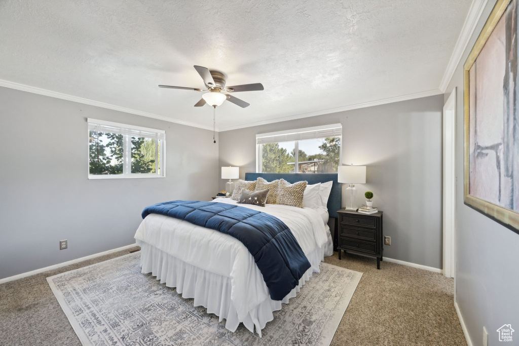 Carpeted bedroom featuring ceiling fan, multiple windows, and ornamental molding