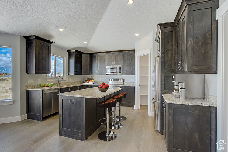 Kitchen featuring sink, light hardwood / wood-style flooring, a center island, and stainless steel appliances