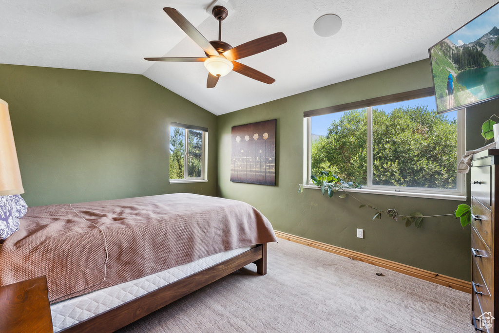 Carpeted bedroom with vaulted ceiling, multiple windows, and ceiling fan