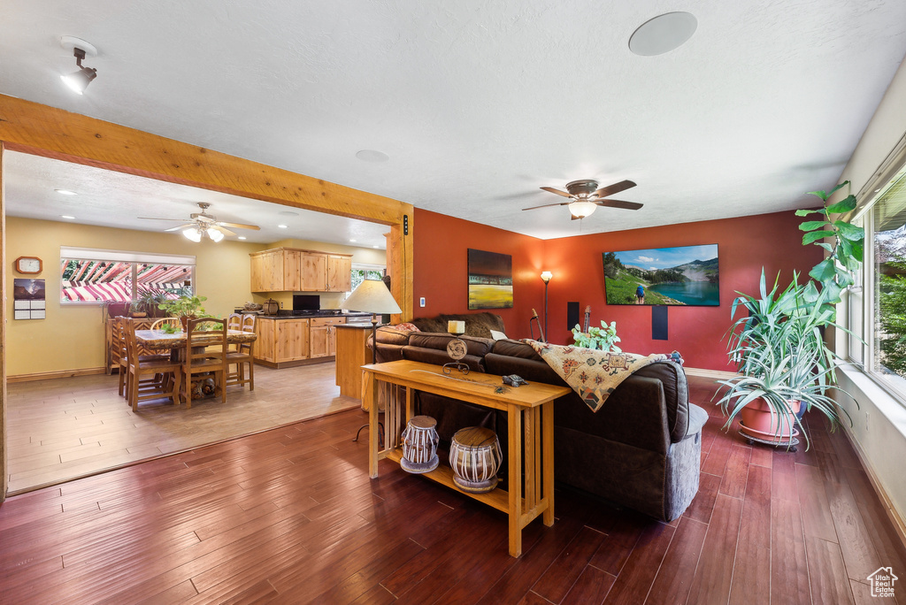 Living room featuring ceiling fan, plenty of natural light, and dark wood-type flooring