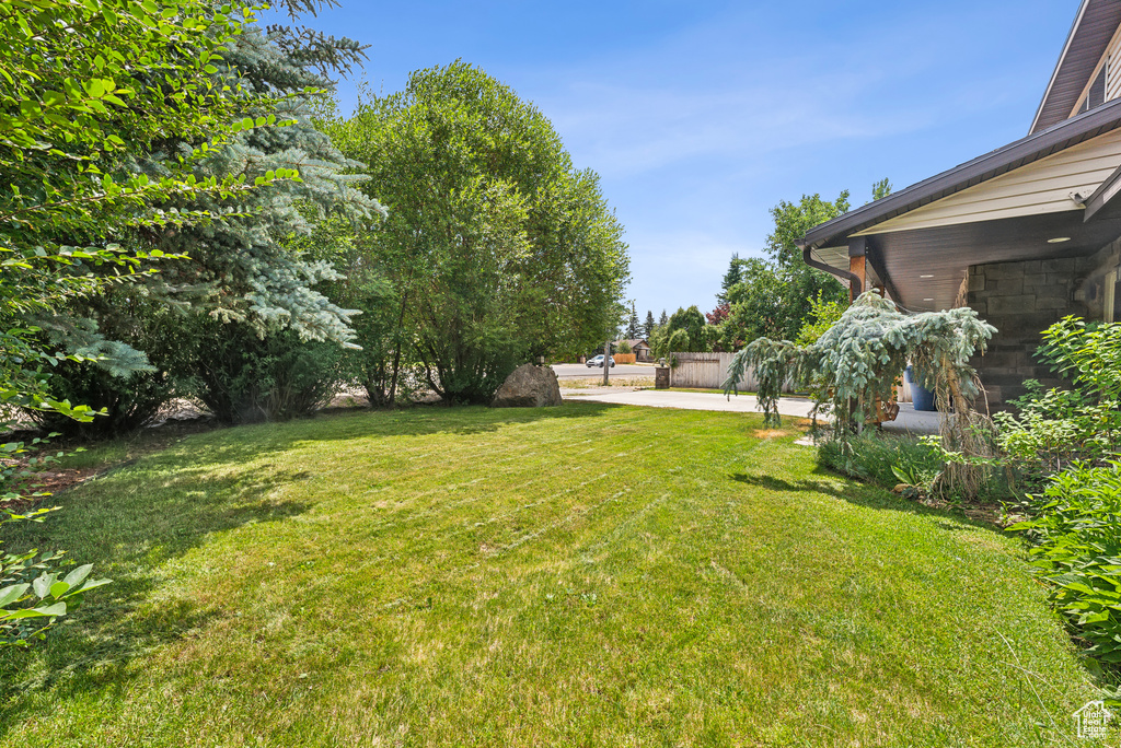 View of yard featuring a patio