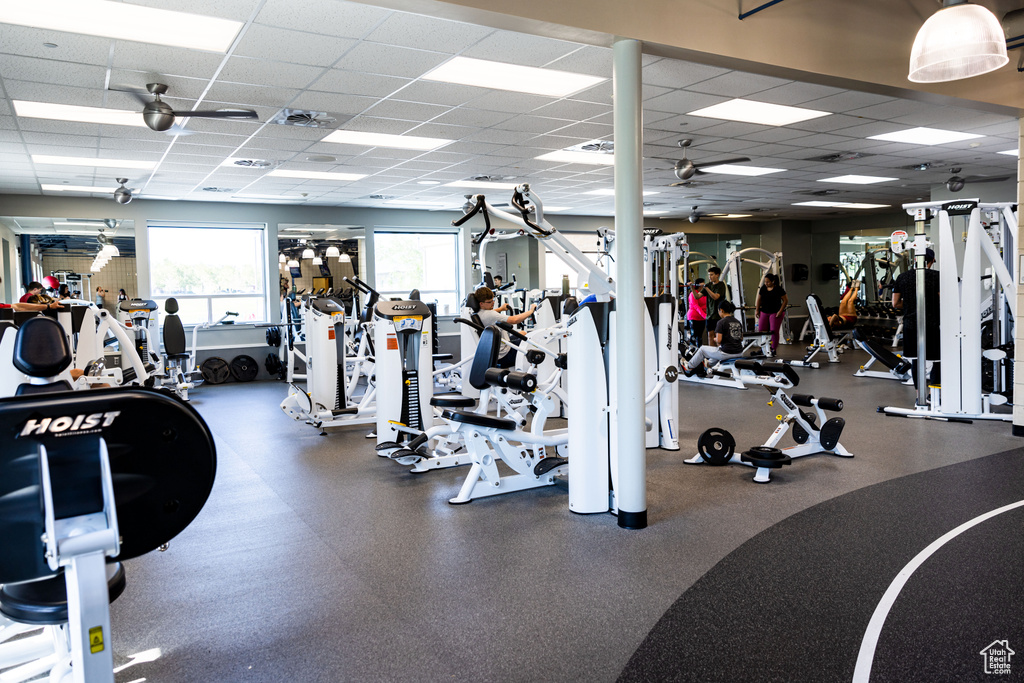 Exercise room featuring ceiling fan and a drop ceiling