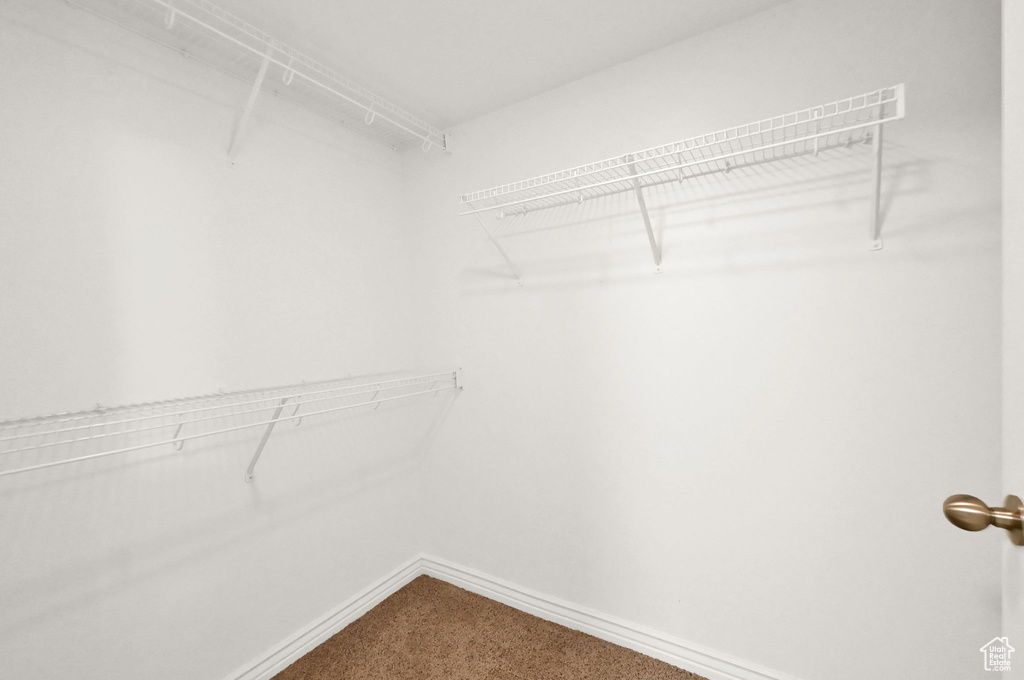 Spacious closet with carpet floors