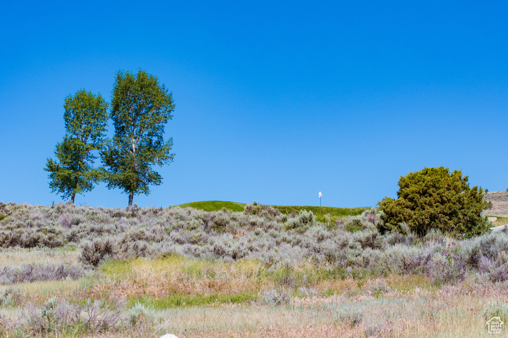 View of nature