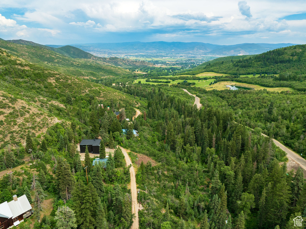 Aerial view with a mountain view