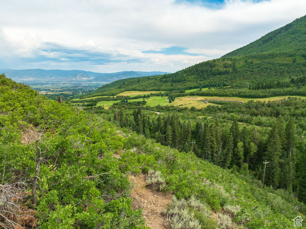 Property view of mountains