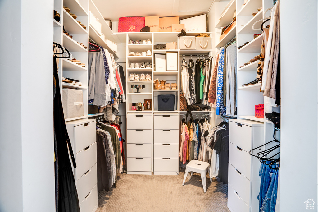 Walk in closet featuring light carpet