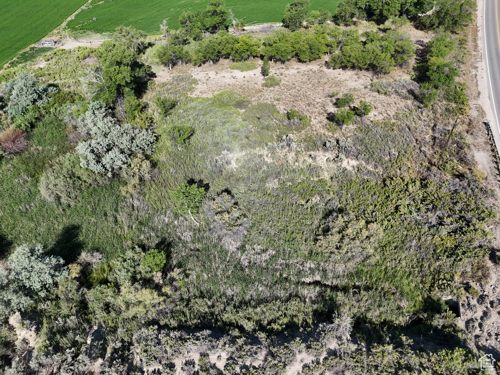 Bird's eye view featuring a rural view