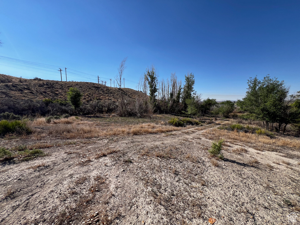 View of local wilderness with a rural view