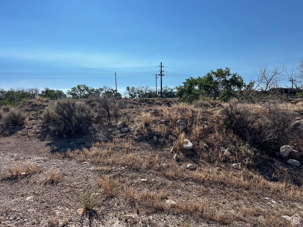 View of local wilderness