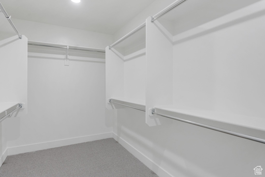 Spacious closet with carpet