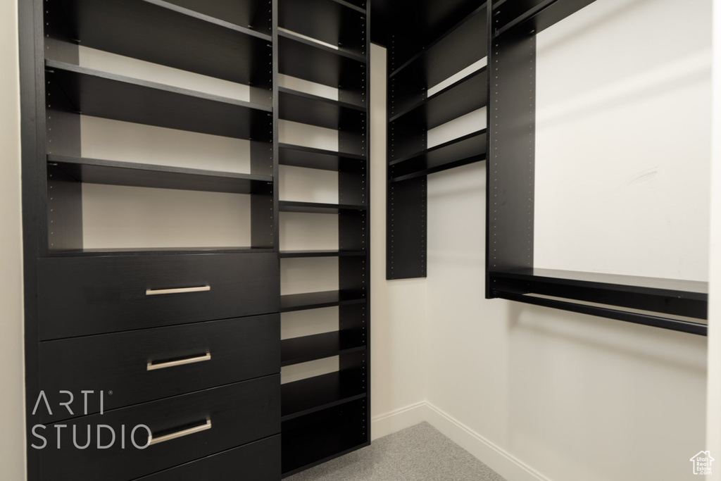 Spacious closet featuring carpet floors