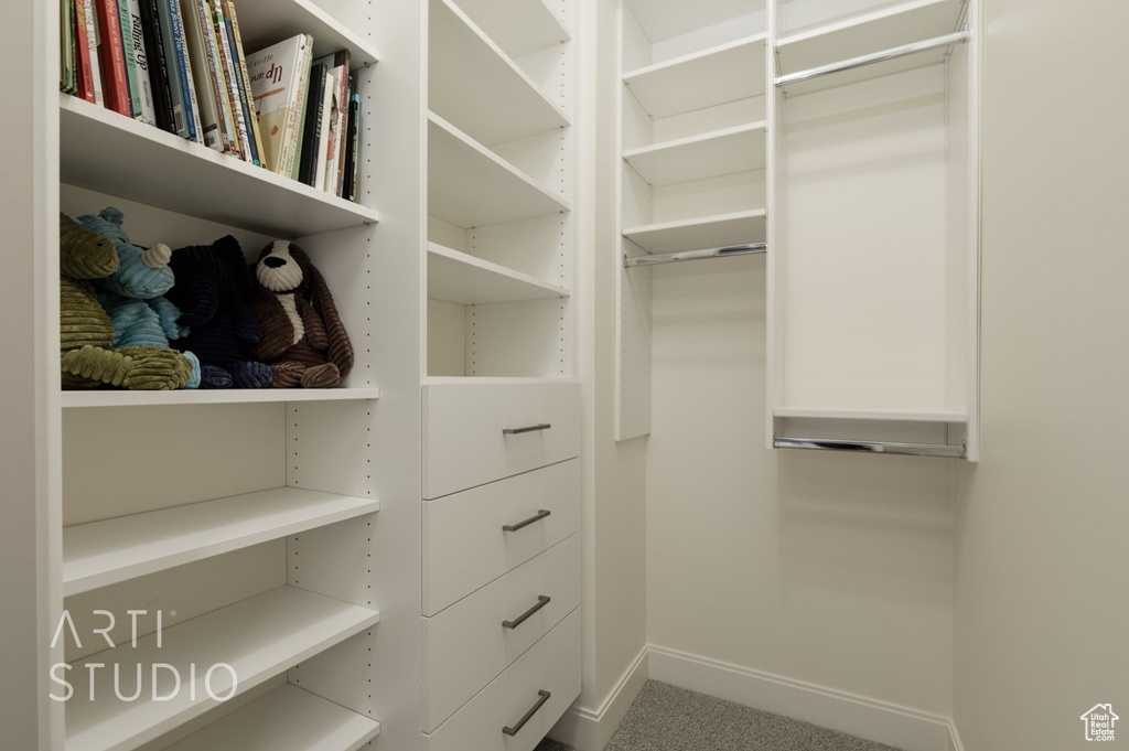 Walk in closet with carpet floors