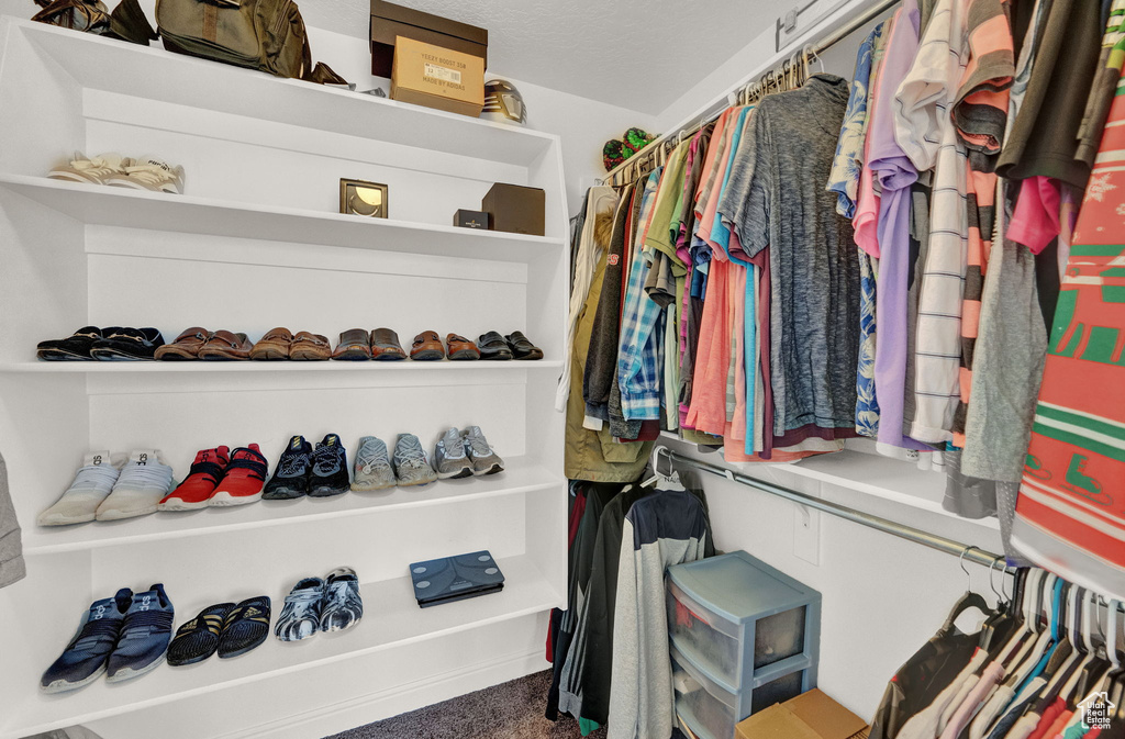 Spacious closet with carpet