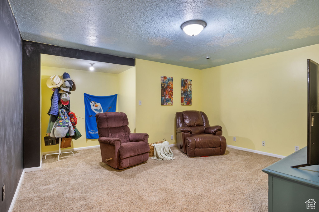 Living area with carpet floors and a textured ceiling