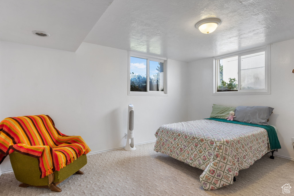 Carpeted bedroom with multiple windows and a textured ceiling