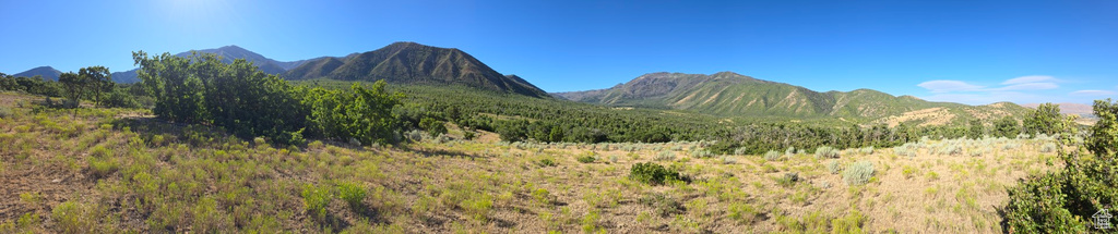 53 S HIGH SIERRA DR Elk Ridge, UT 84651