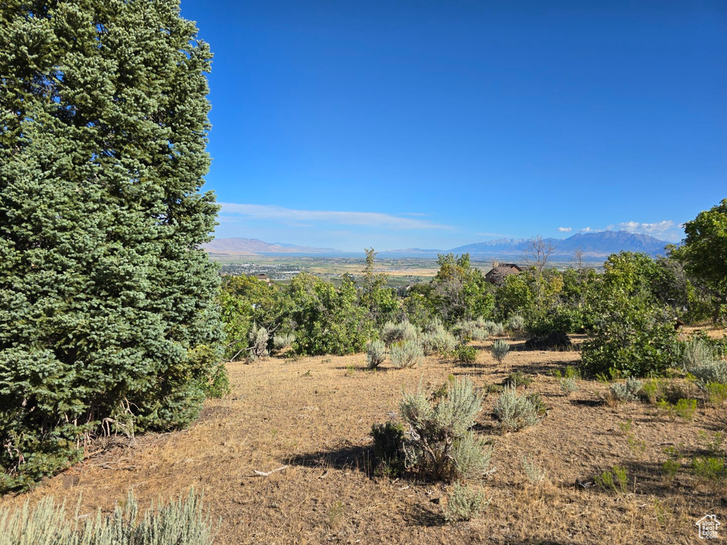 53 S HIGH SIERRA DR Elk Ridge, UT 84651