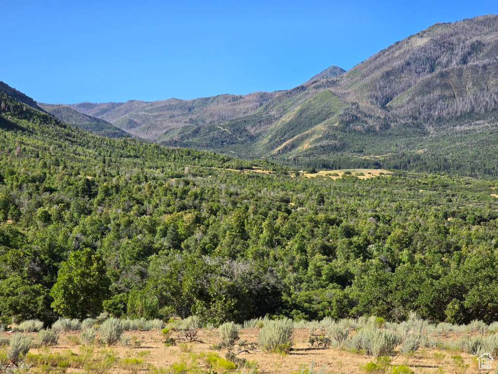 53 S HIGH SIERRA DR Elk Ridge, UT 84651