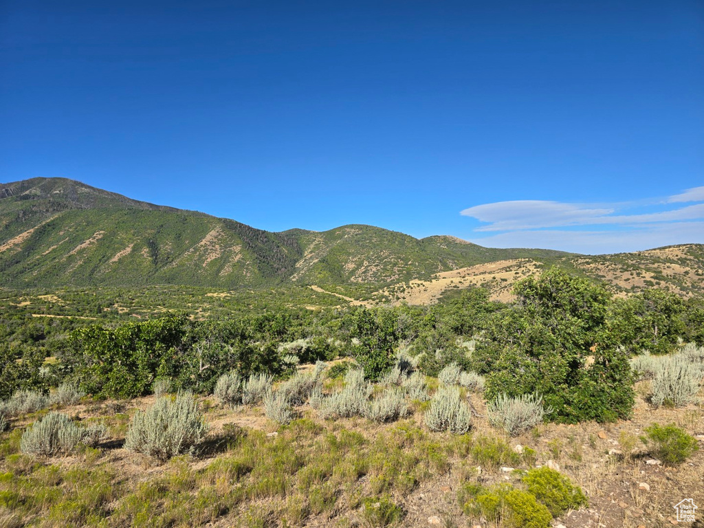 53 S HIGH SIERRA DR Elk Ridge, UT 84651