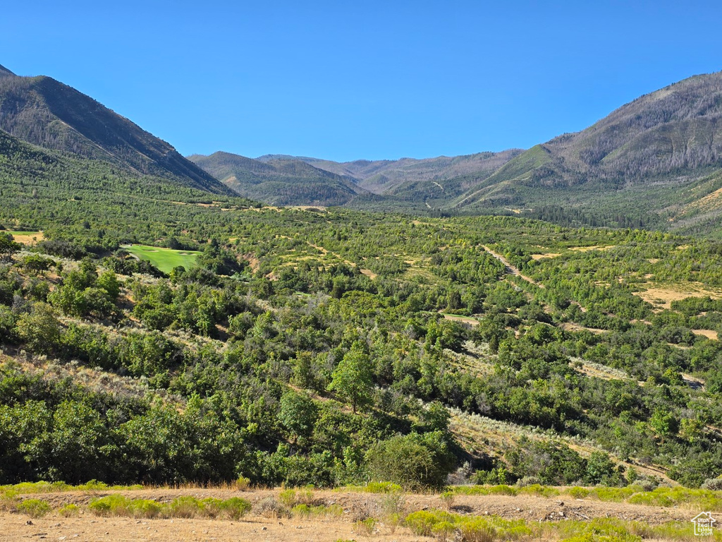 53 S HIGH SIERRA DR Elk Ridge, UT 84651