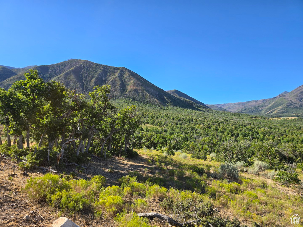 53 S HIGH SIERRA DR Elk Ridge, UT 84651