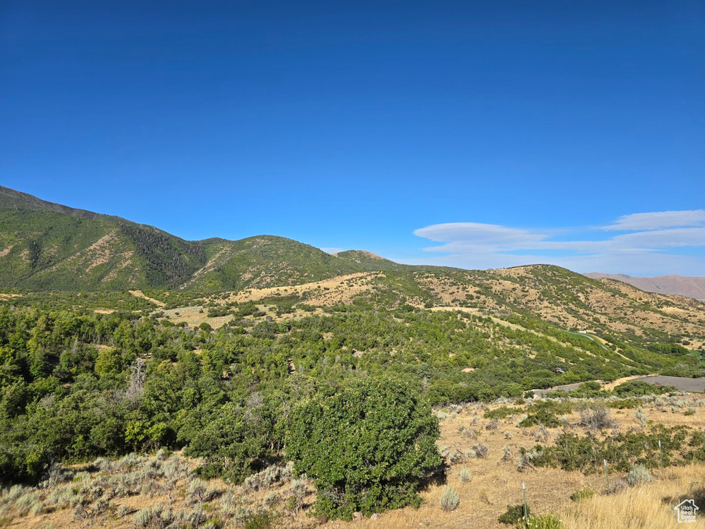 53 S HIGH SIERRA DR Elk Ridge, UT 84651