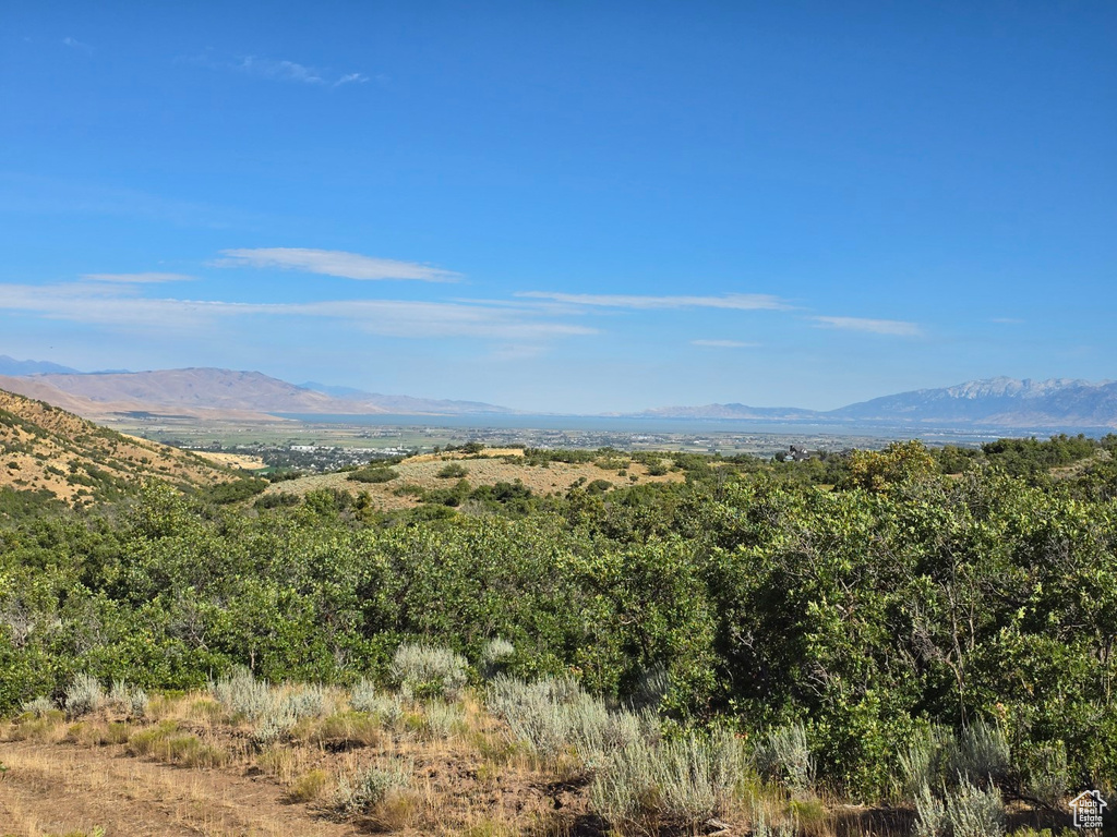 53 S HIGH SIERRA DR Elk Ridge, UT 84651