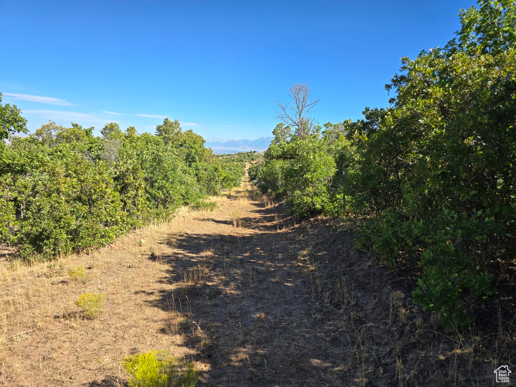 53 S HIGH SIERRA DR Elk Ridge, UT 84651