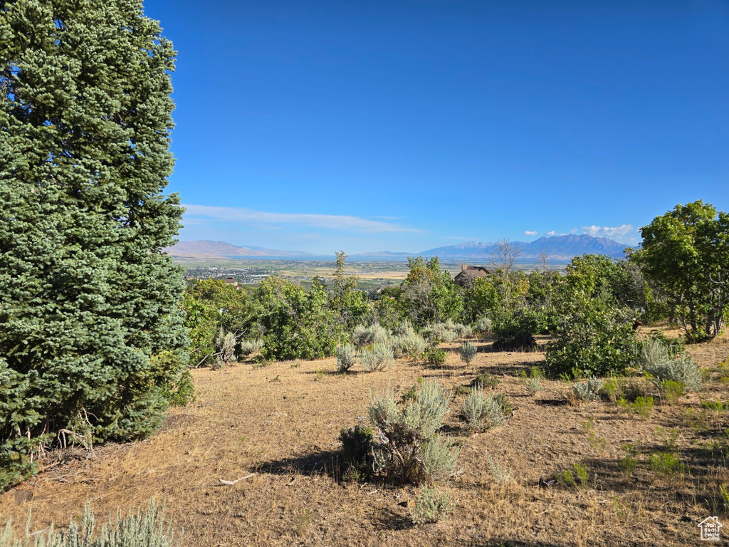 53 S HIGH SIERRA DR Elk Ridge, UT 84651
