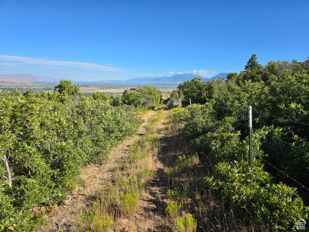 53 S HIGH SIERRA DR Elk Ridge, UT 84651