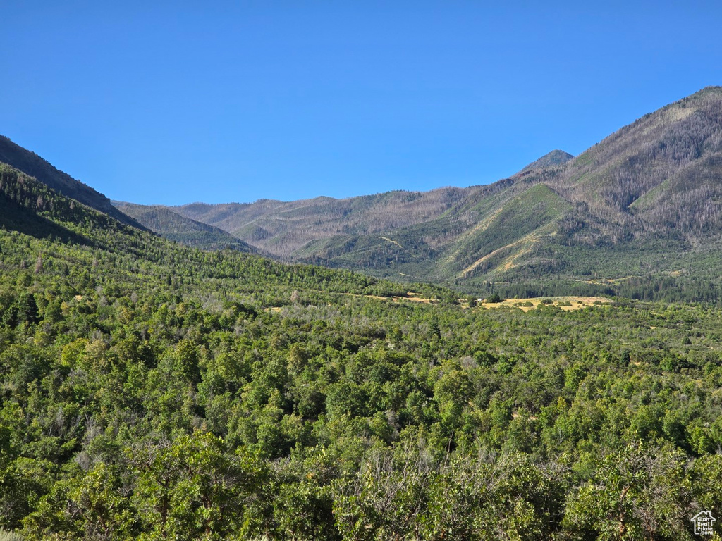 53 S HIGH SIERRA DR Elk Ridge, UT 84651