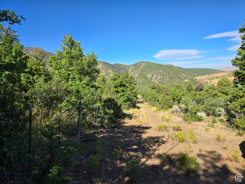 53 S HIGH SIERRA DR Elk Ridge, UT 84651