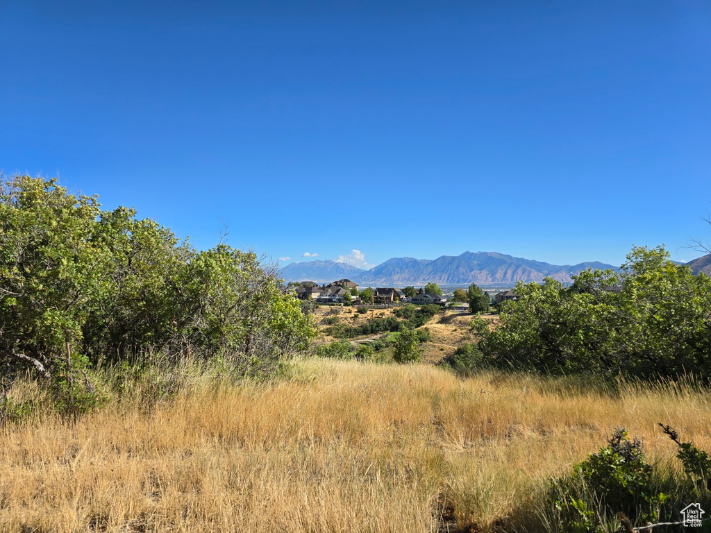 53 S HIGH SIERRA DR Elk Ridge, UT 84651