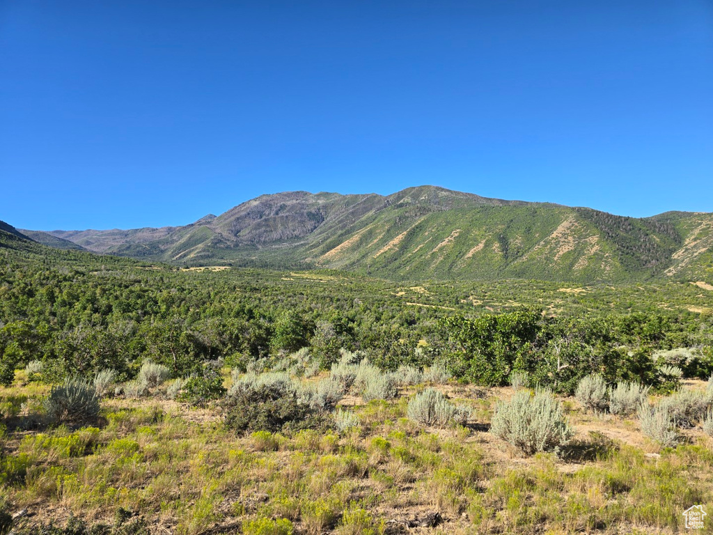 53 S HIGH SIERRA DR Elk Ridge, UT 84651