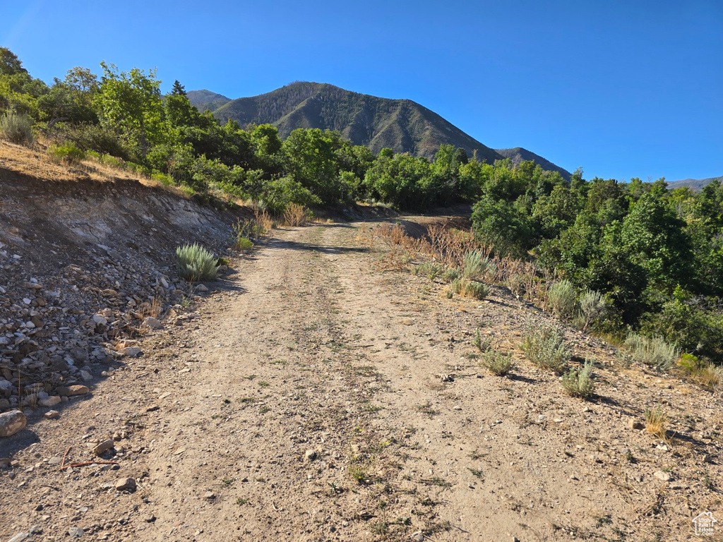 53 S HIGH SIERRA DR Elk Ridge, UT 84651