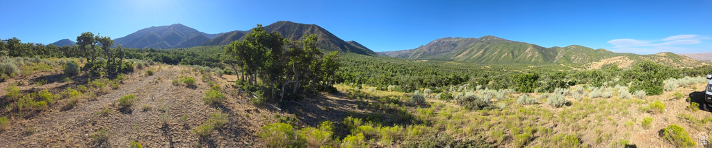 53 S HIGH SIERRA DR Elk Ridge, UT 84651