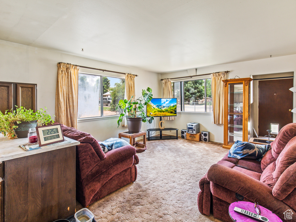 View of carpeted living room