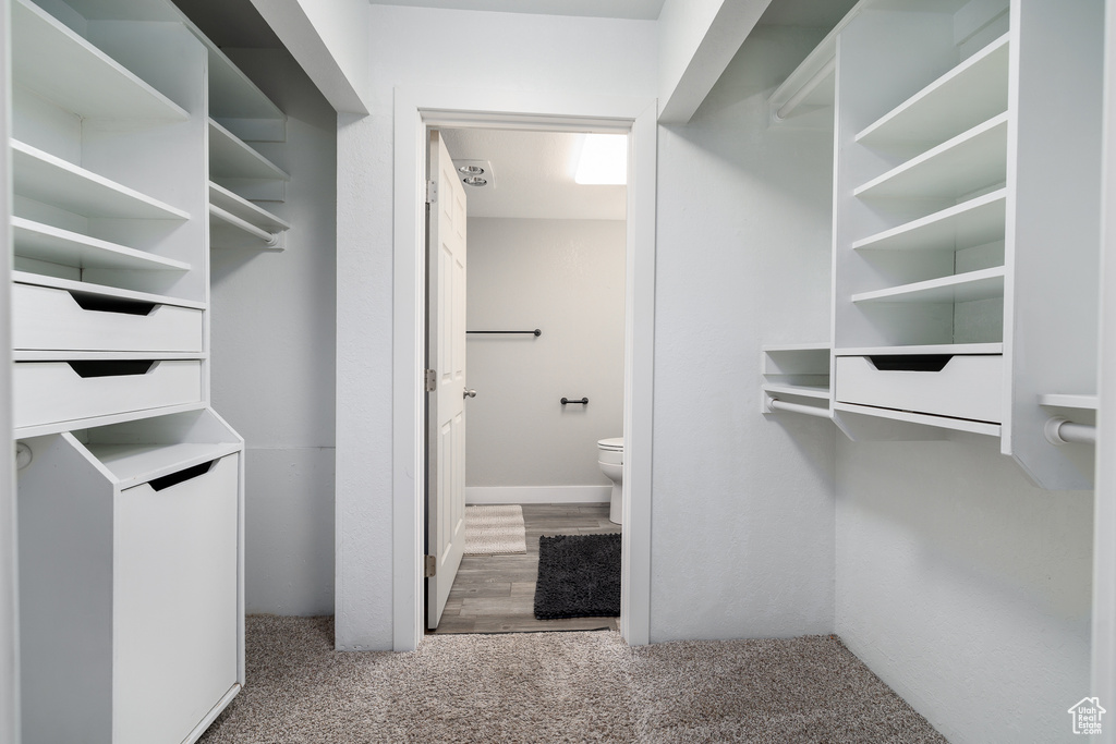 Spacious closet with hardwood / wood-style floors