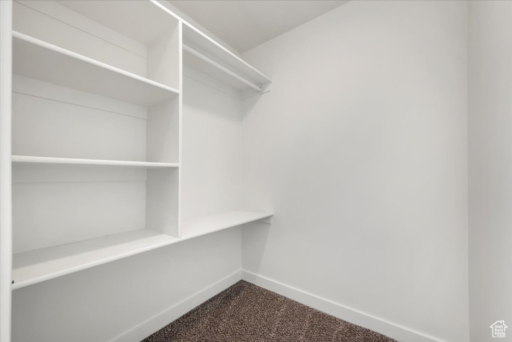 Walk in closet featuring carpet