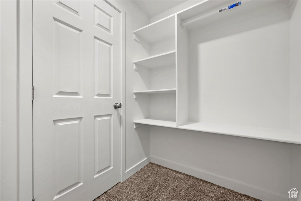 Walk in closet featuring carpet flooring