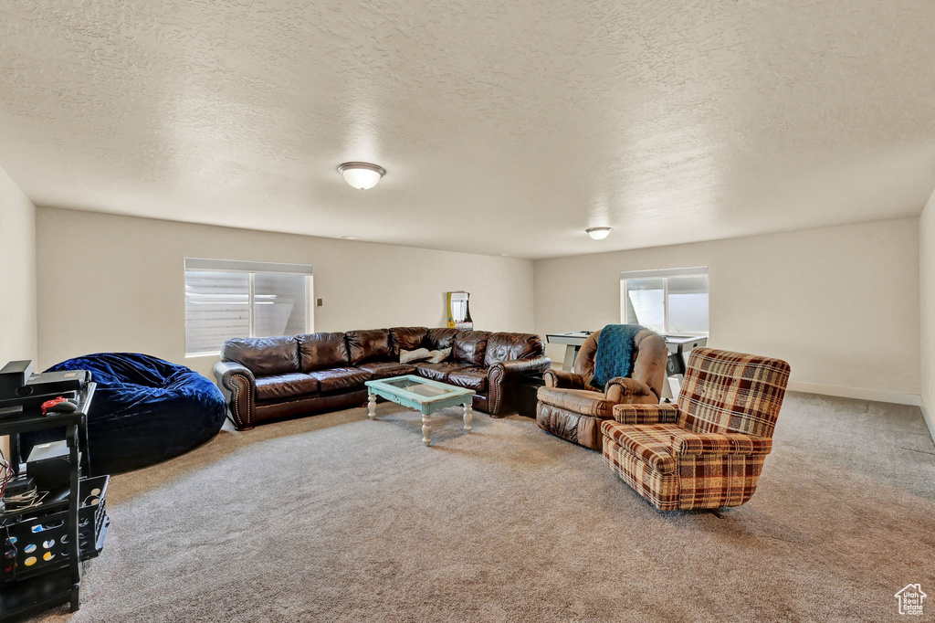 Carpeted living room featuring a textured ceiling