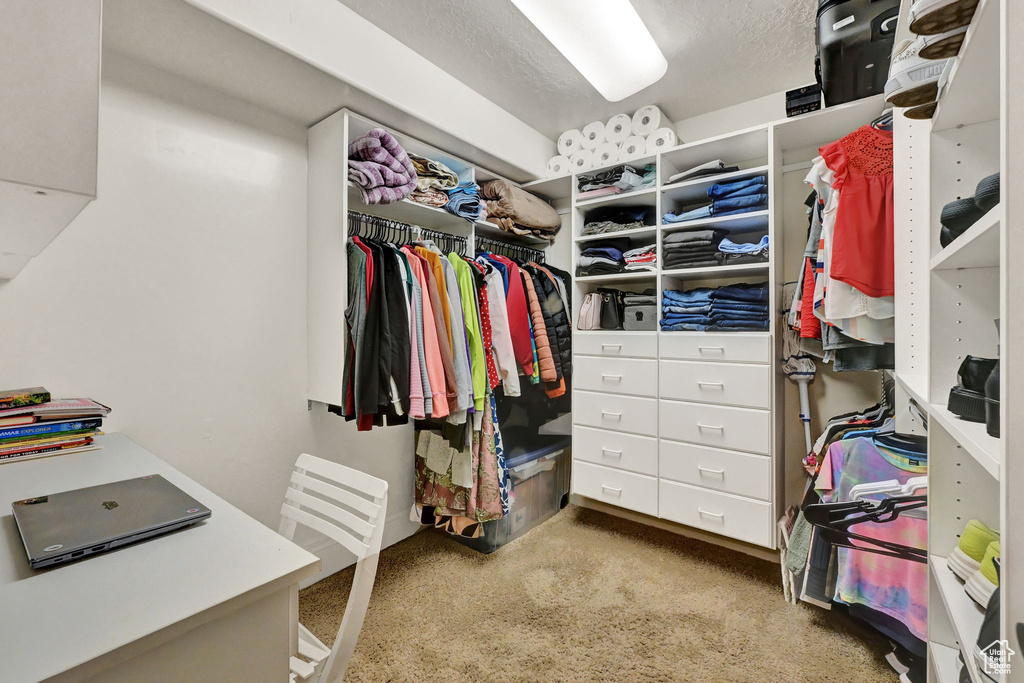 Spacious closet featuring carpet flooring