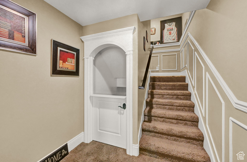 Stairs with carpet