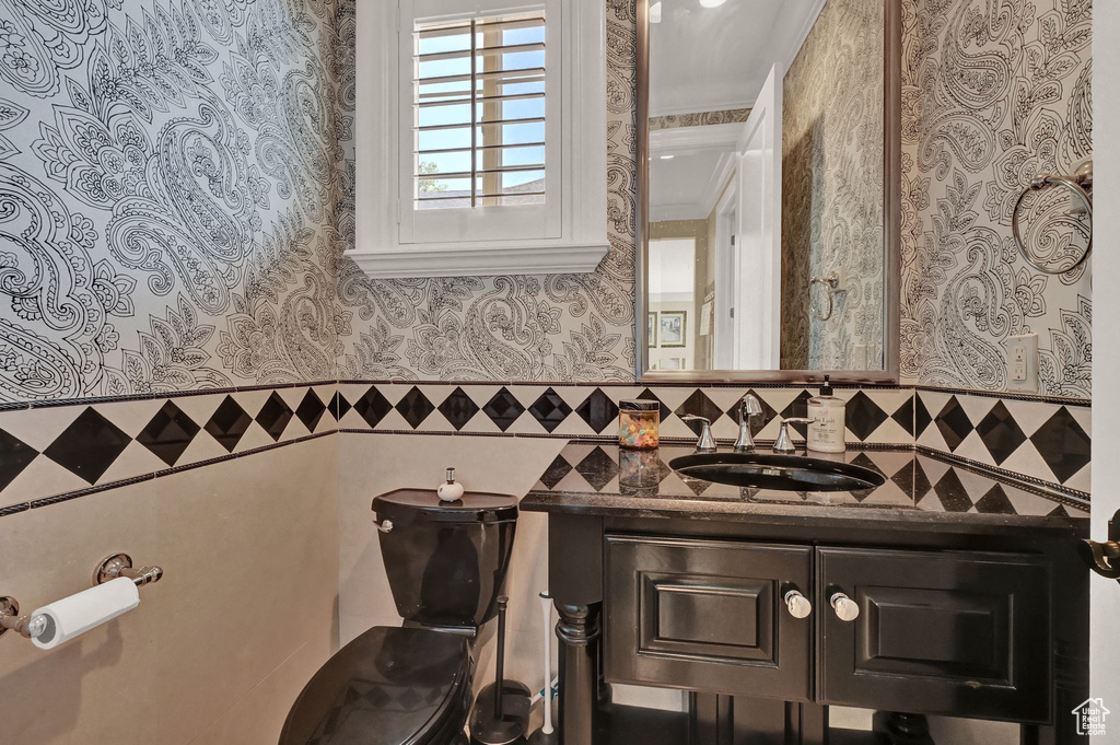 Bathroom featuring vanity, crown molding, and backsplash