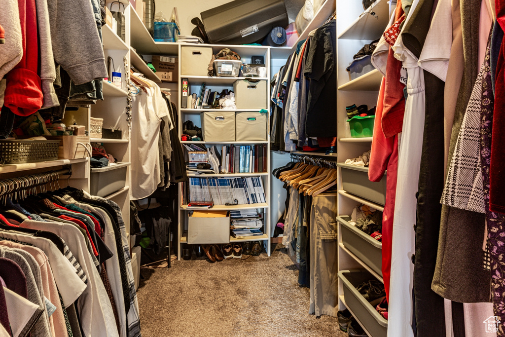 Walk in closet featuring carpet