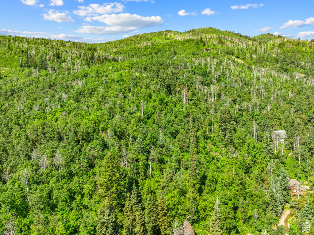 Drone / aerial view featuring a mountain view