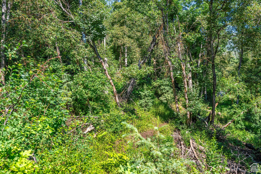 View of landscape